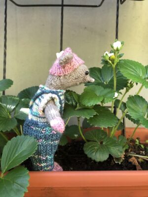 Outfit of the Day -- In the Garden with a New Friend