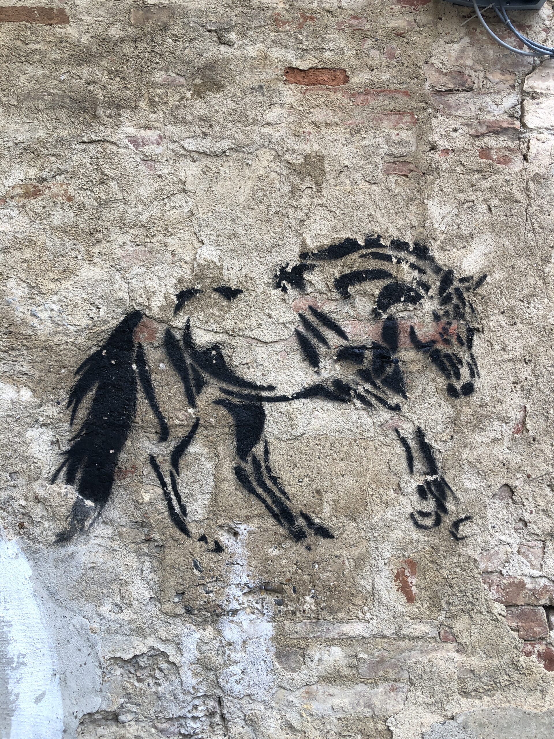 Horses and Horsey (Equine / Equestrian)Art in Siena
