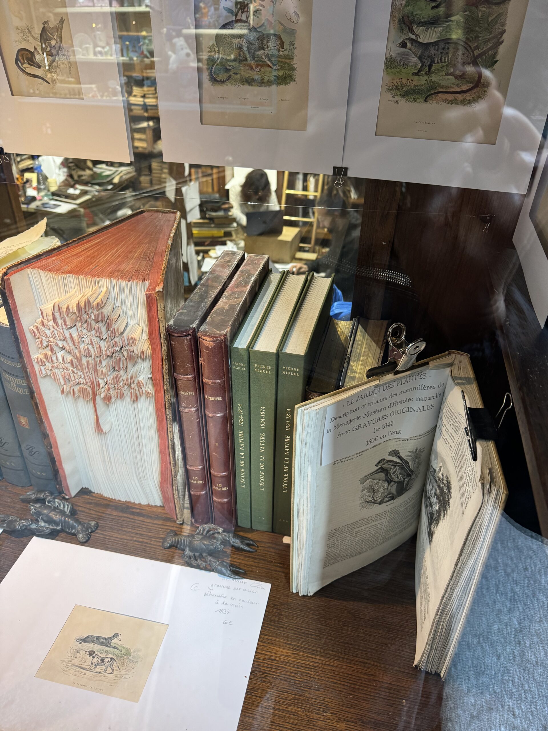 September Reading, 2025